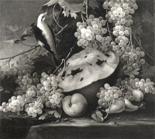 Anonimo — Malagoli Francesco (?) - sec. XVIII - Natura morta con tralci d'uva, cocomero, pere e uccello — insieme